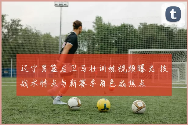 辽宁男篮后卫马壮训练视频曝光 技战术特点与新赛季角色成焦点